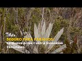 Seguro para Páramos: La Nueva Arma Contra Incendios Forestales - TvAgro por Juan Gonzalo Angel