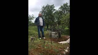 Dado Kosić - Što si tužno selo moje