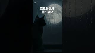 새벽 3시, 또 깼죠 | 3AM, Awake Again?