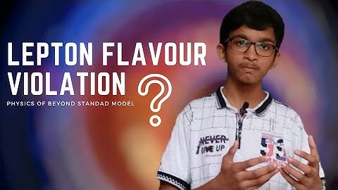 Lepton flavour violation in the charged sector / Physics beyond the standard model