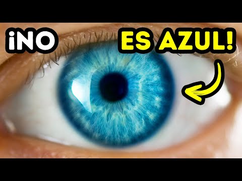 Video: ¿Cuál es el significado de ojos claros?