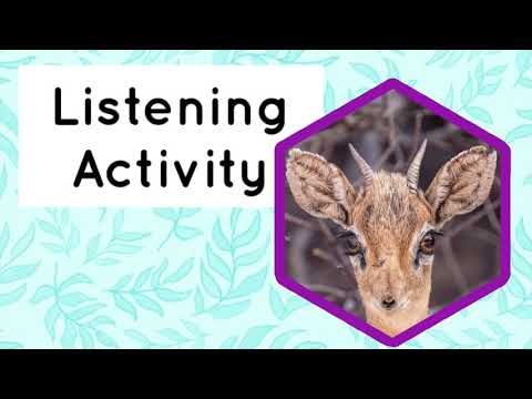 Listening activity 7 (auditory memory)