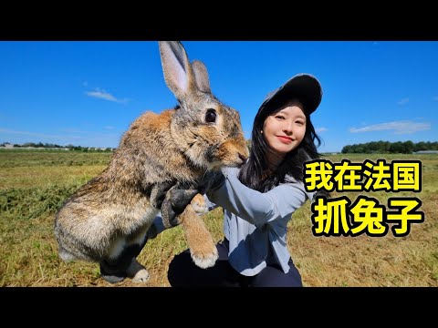 How Many Rabbits Can A Sichuan Girl Catch In France With 3 Rabbit Traps Hunting France