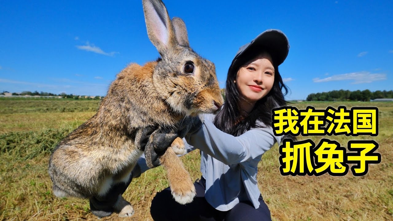 在法国抓兔子，四川妹子用3个捕兔笼能抓几只？| 野兔 | 狩獵 | 户外 | 兔子 | 法國 | 美食 |