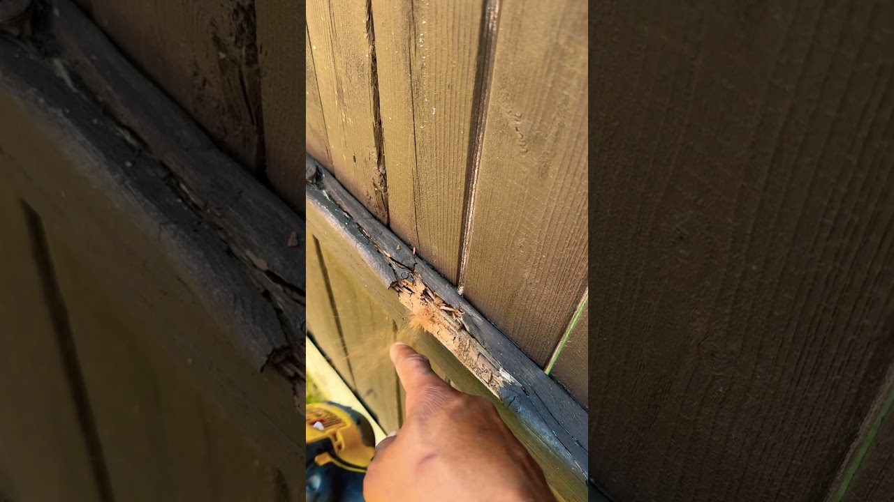 Rotted Runners 👎🏾 