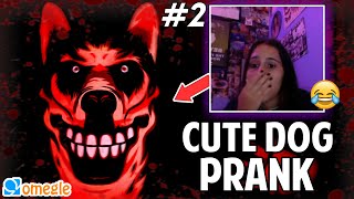 Cute Dog JUMPSCARE PRANK on Omegle! 😲 #2