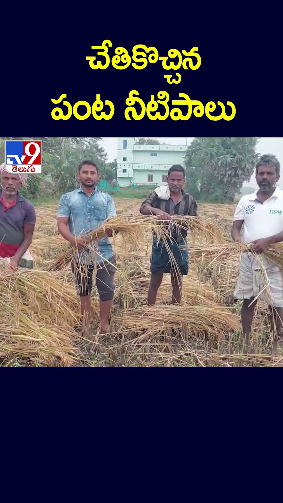 చేతికొచ్చిన పంట నీటిపాలు - TV9