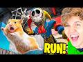 HAMSTER ESCAPES POPPY PLAYTIME IN REAL LIFE?! (FUNNIEST MEMES + ANIMATIONS!)
