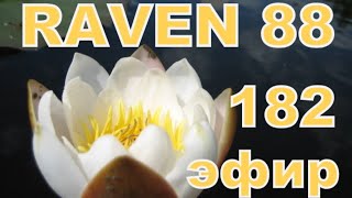RAVEN 88 ЭФИР 182
