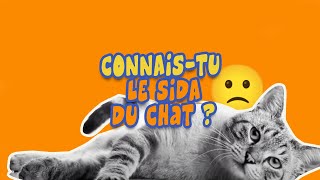 Le Sida du chat, qu'estce que c'est ?