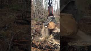 Tigercat ls855d with southstar falling head