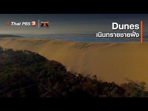 เนินทรายชายฝั่ง (Dunes) : เรื่องเล่าการเดินทาง