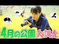 花よりダンゴムシな虫オタク。【昭和記念公園4月編】