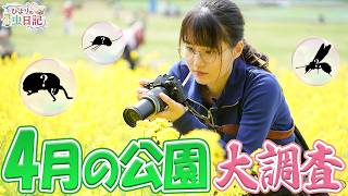 花よりダンゴムシな虫オタク。【昭和記念公園4月編】