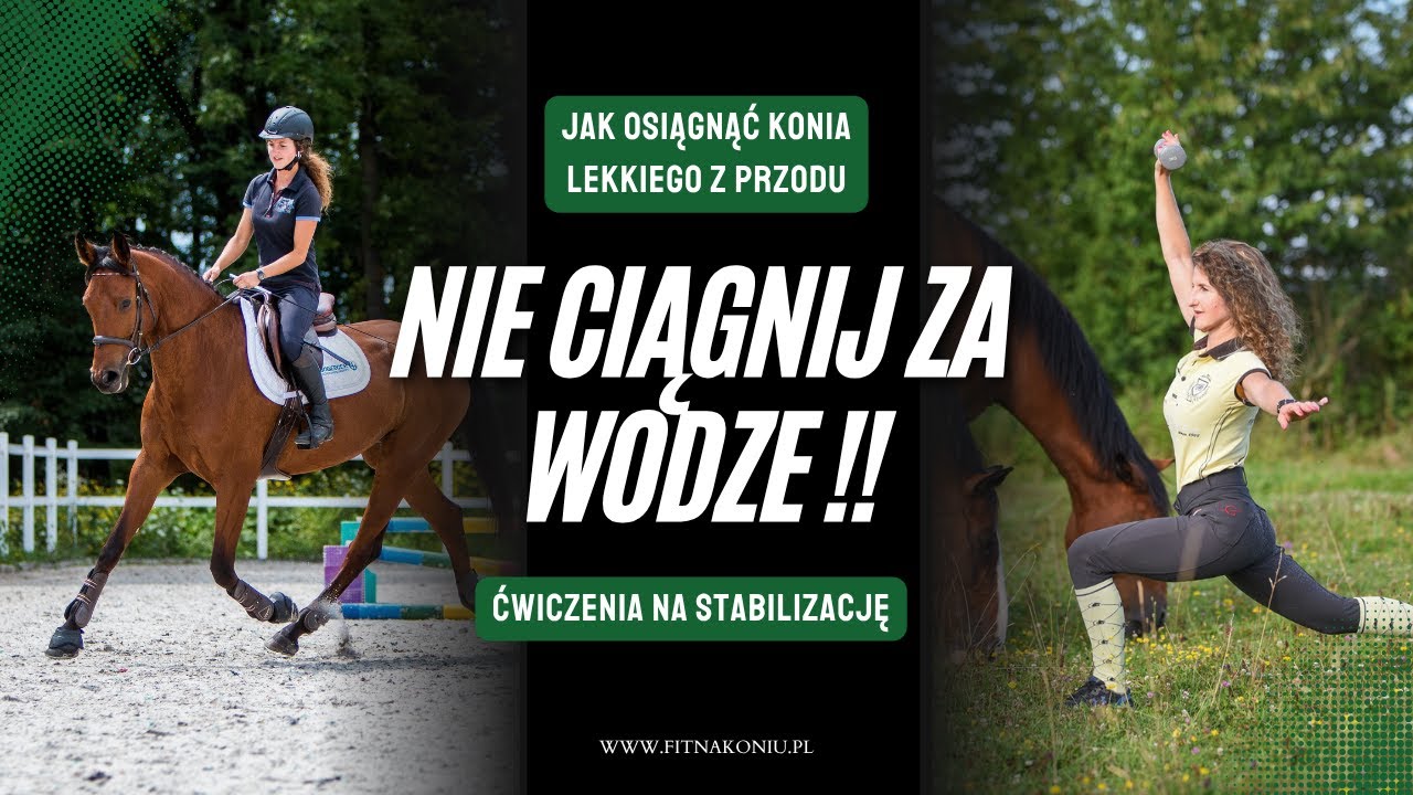 Jak uzyskać kontakt z koniem bez ciągnięcia za wodze + ćwiczenia #jazdakonna #equestrian #horse