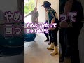 おじいちゃんの夢。おばあちゃんとタンデムでハーレー引退