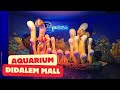 AQUARIUM BESAR DALAM MALL FAMILY TIME  || BINTARO BXSEA REVIEW