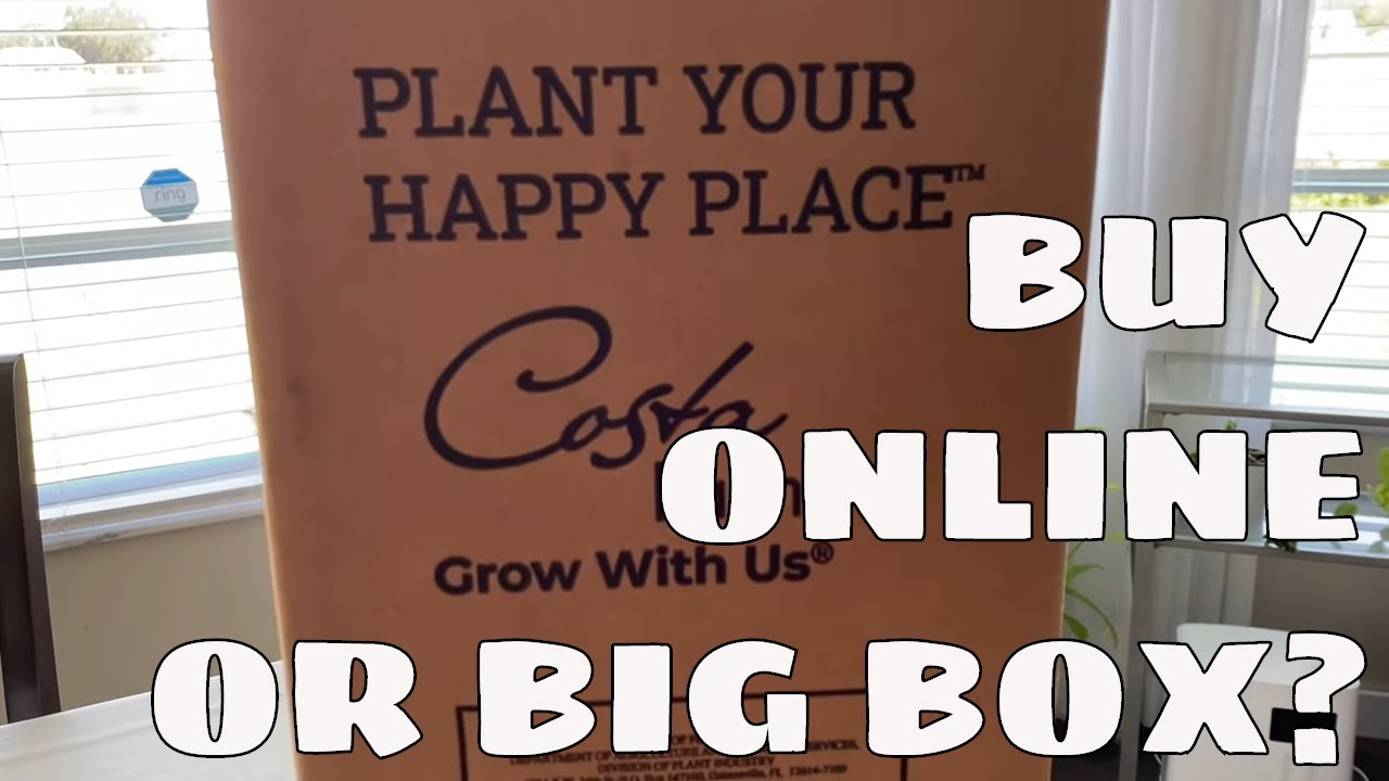 50 Online or 20 Big Box? Costa Farms Trending Tropicals Online V