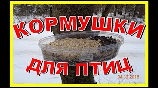 КОРМУШКИ ДЛЯ ПТИЦ своими руками! Просто и дешево. Новые кормушки! Новый корм. Смотрим! КОРМУШКИ ДЛЯ ПТИЦ своими руками! Просто и дешево. Новые кормушки! Новый корм. Смотрим!