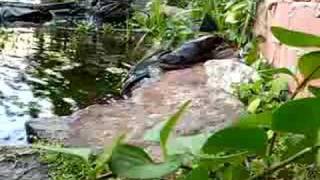 I Love Watching Him Eat