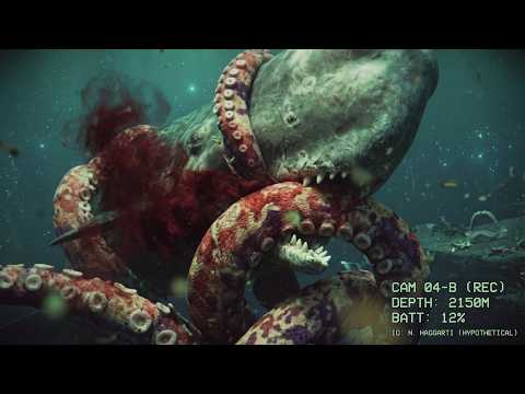 Could Nanaimoteuthis Survive the Modern Ocean