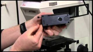 5 Fluorescence Microscopy