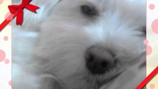 Capture 20150616 4