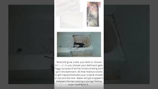 What is a BathFitter or Re-Bath Bathtub Liner?