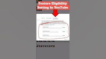 Feature Eligibility Youtube 2024 | What Is The Benefit Of Youtube Feature Eligibility Enable