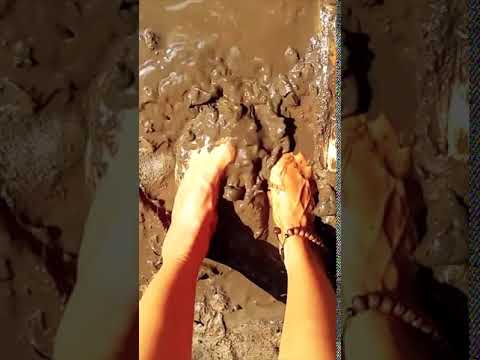 Barefoot in the Forest