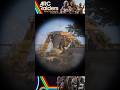 ARC Turbine! #arcraiders #shorts #gameplay #gaimg #pc #xbox #ps5 #robot