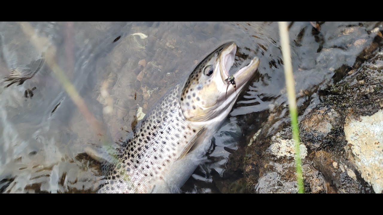 En resa till Orkla 2023