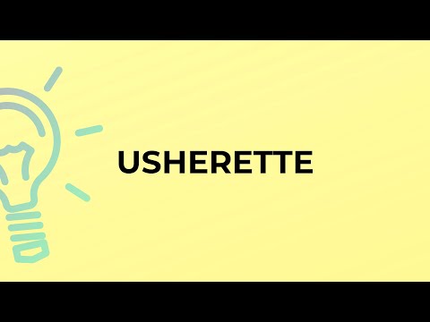 What is the meaning of the word USHERETTE?