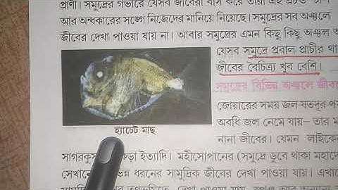 পরিবেশ ও বিজ্ঞান অষ্টম শ্রেণি Chapter 10/primary tet evs/primary tet preparation 2022/upper primary