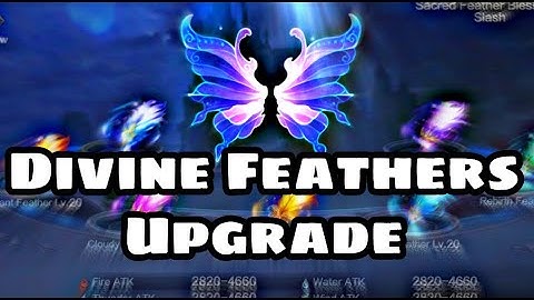 Divine Feathers Upgrade || Sulit ba?