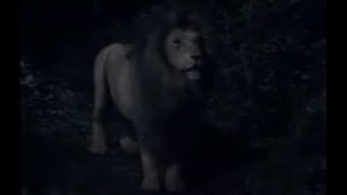 ASLAN É JESUS CRISTO! AS CRÔNICAS DE NÁRNIA #quesitonerd #narnia #aslan  #jesus 