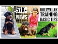 Rottweiler training | Basic training for Rott Puppy | Teach Sit  Down Commands| Dog Tricks Malayalam