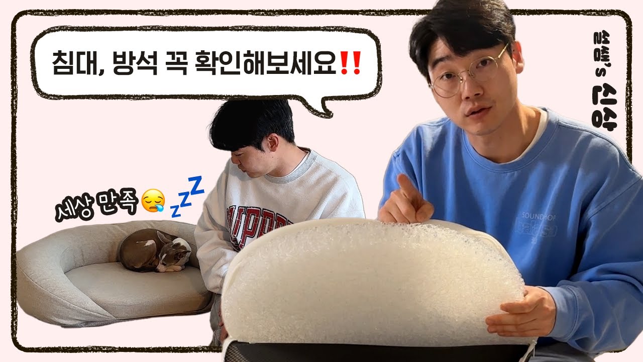 강아지 쿠션 방석, 이건 꼭 체크하세요 ⚠️ | 설쌤's 신상박스📦 | 설채현 행동학 수의사