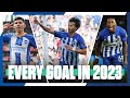 All 105 goals from 2023  brighton  hove albion 