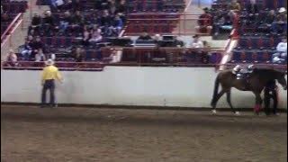 Pat Parelli bridleless riding demo pt1
