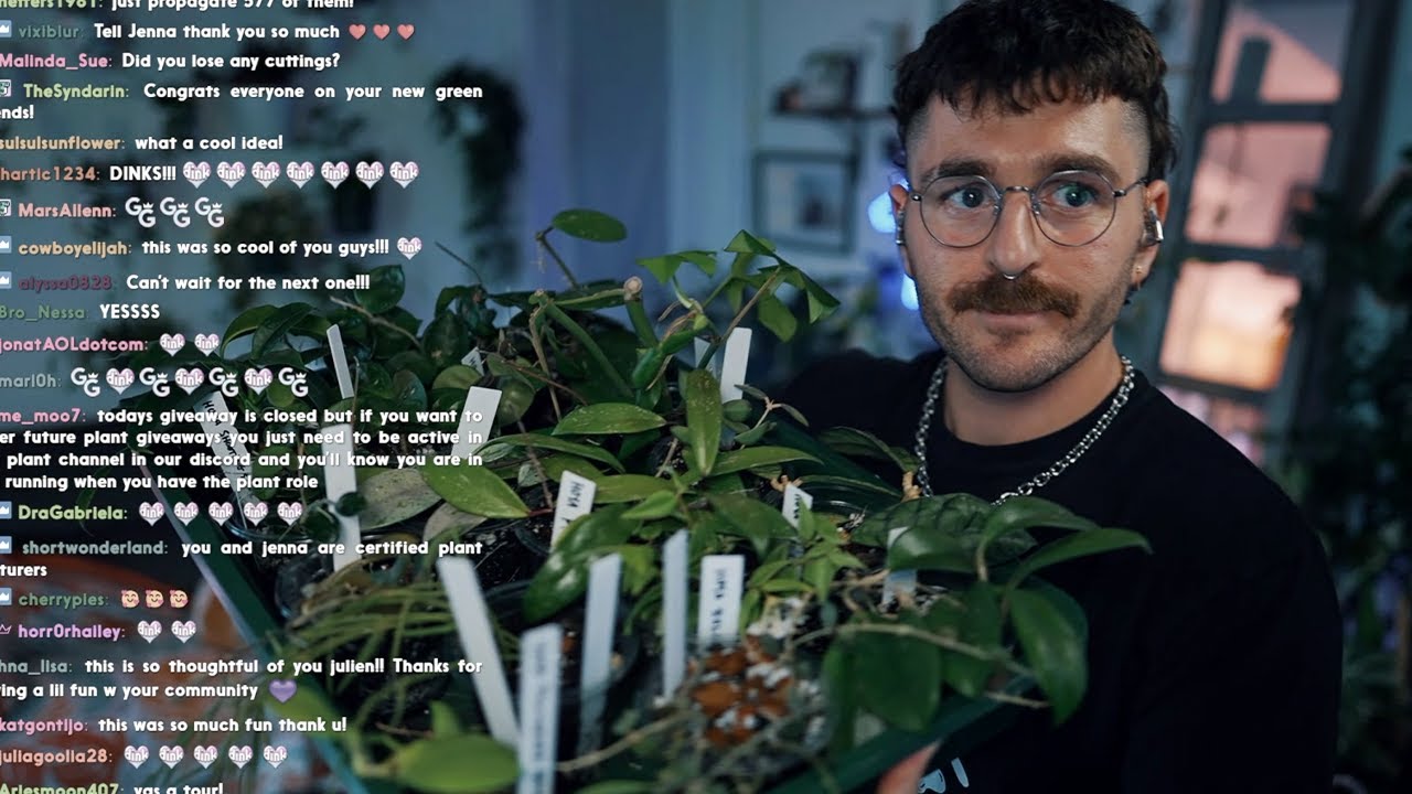 Giving my plants to you