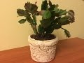 Цветочный горшок из "ничего". (Flower pot with his own hands). Diy.