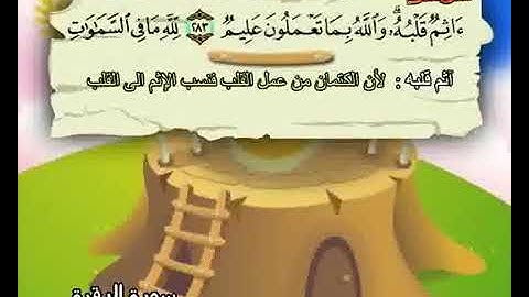 خواتيم سورة البقرة حفظ من 284 إلى  286 المصحف المعلم المنشاوي