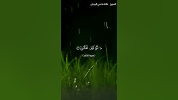 سوره القلم بصوت القارئ مالك فتحي الوديان تلاوه خاشعه