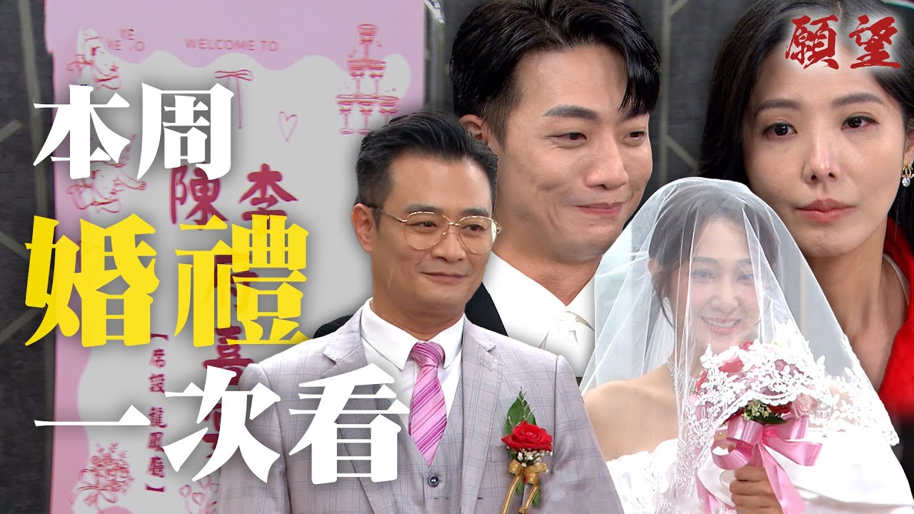 精華一次看｜史上最幸福婚禮！陳家李家結親家 冬雨牽著兩個爸爸幸福出嫁！｜#願望 EP248-252｜三立台劇