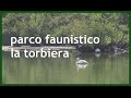Wildlife Al Parco Faunistico La Torbiera