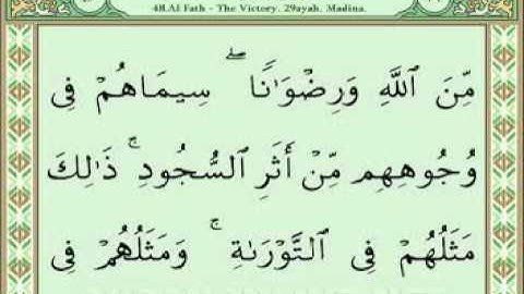 سورة الفتح 28-29