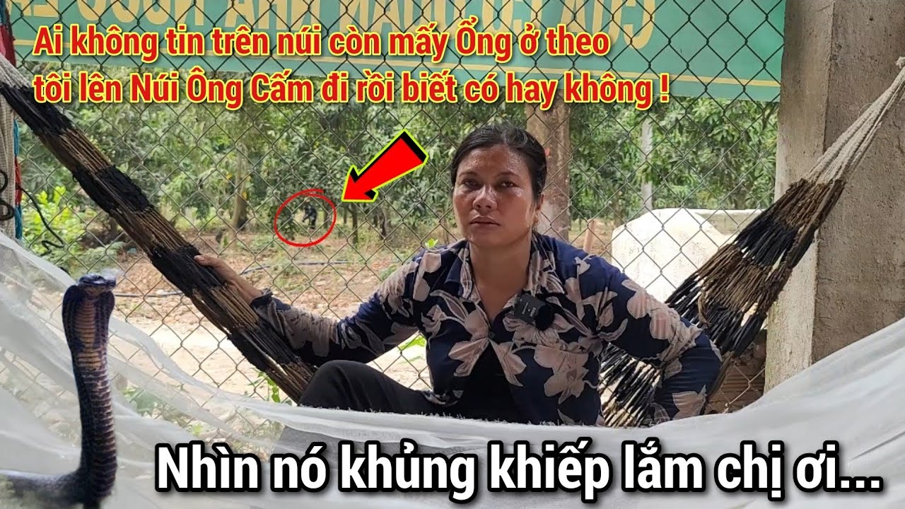 Женщина отправилась в горы, чтобы заработать на жизнь, и столкнулась с «ужасающим» инцидентом, ко...