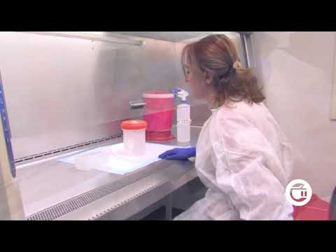 კახეთში კორონავირუსის რამდენი შემთხვევა დაფიქსირდა?