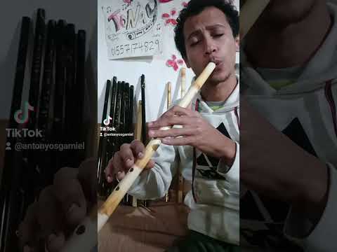 اسمع الكولة دي بقى وانسى همومك